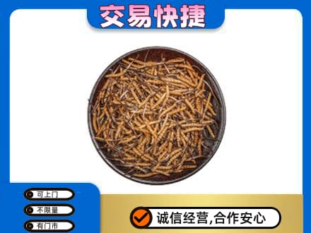 湖州吴兴区高价回收散虫草